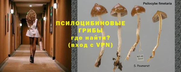прущие крисы Арсеньев