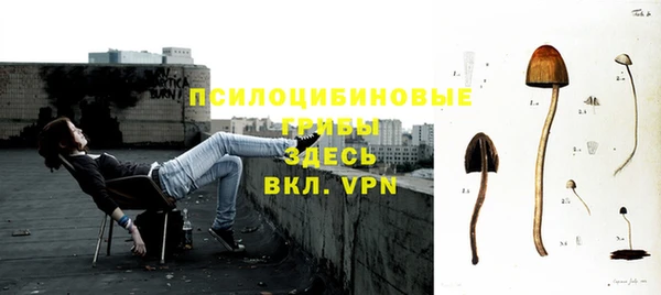 амф Аркадак
