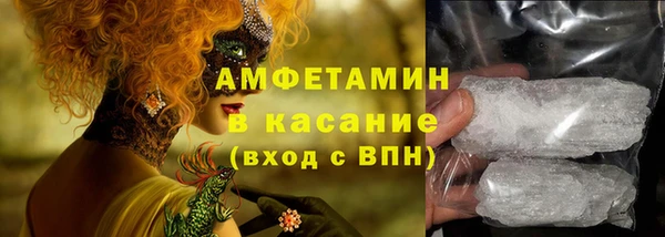 амф Аркадак